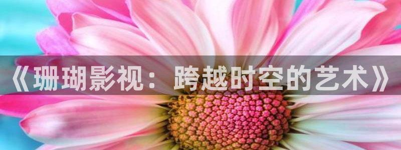 不卡电影在线看