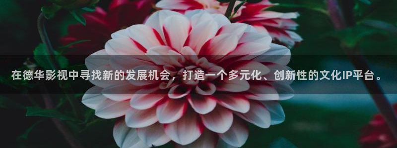 一区二区不卡手机在线电影