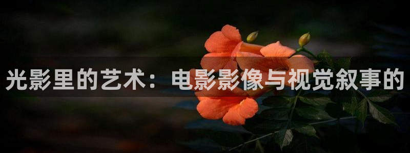 日本高清不卡码视频：光影里的艺术：电影影像与视觉叙事的