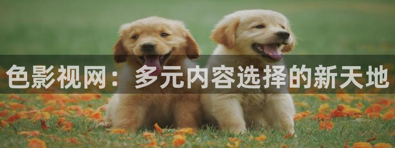 我不卡影院中文字幕
