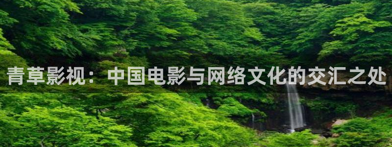 视频一区二区不卡